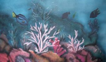 Unterwasserwelt: Illusionsmalerei von Harald Wolf