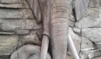 Elefantenwand-3.jpg