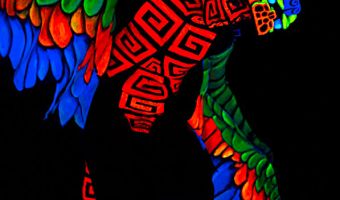 Blacklight Performance von Harald Wolf aus Bruchsal