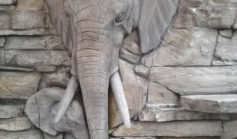Elefantenwand-1.jpg