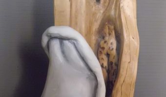 Torso.JPG