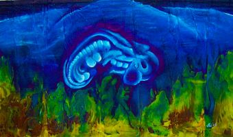 Jeans-Art Kunstwerk 'Schwangere Erde' von Harald Wolf